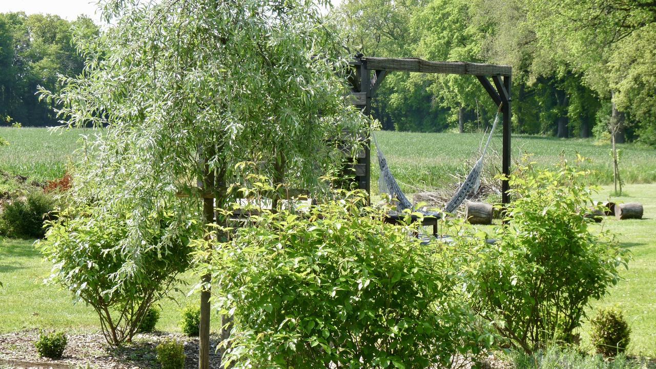 Couette-café La Ligne Angles-sur-lʼAnglin
